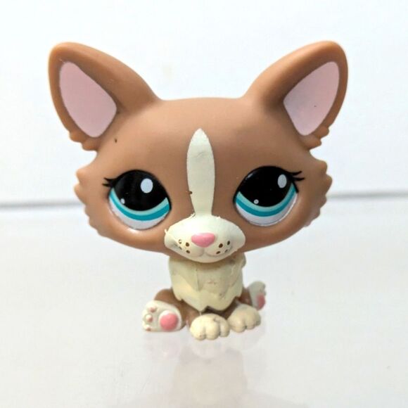 Littlest Pet Shop Blythe Corgi Puppy Dog #1864 Aqua Blue Eyes LPS - Picture 1 of 7